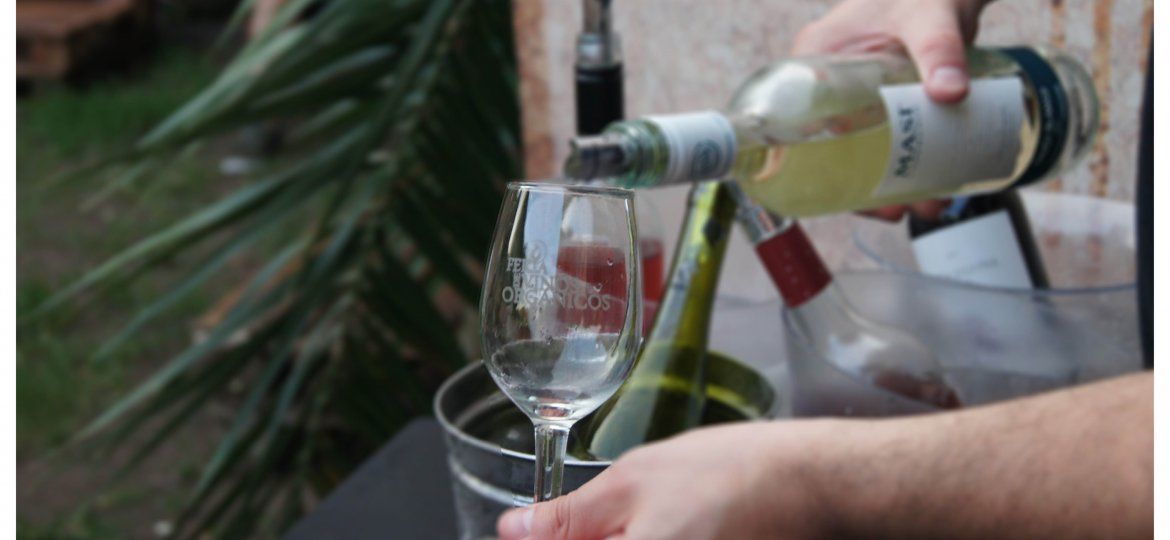 #AfterVerde After con vinos de verano. Vinos Organicos Vinos sustentables. Biodinamicos